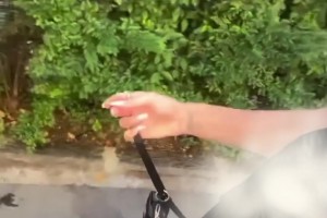 卡里乌斯老婆一身清凉装在街边遛狗，这小博美好可爱呀😍